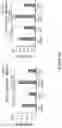 Fig. 83 - Methods and materials for identifying and treating bet inhibitor-resistant cancers