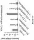 Fig. 98 - Methods and materials for identifying and treating bet inhibitor-resistant cancers