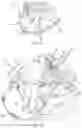 Fig. 08 - Aft-facing transom seating for a boat