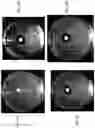 Fig. 02 - Antimicrobial additive compositions for coatings