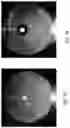 Fig. 07 - Antimicrobial additive compositions for coatings