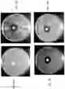 Fig. 08 - Antimicrobial additive compositions for coatings