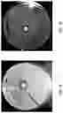 Fig. 09 - Antimicrobial additive compositions for coatings