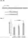 Fig. 07 - Splice inhibiting oligonucleotides