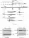 Fig. 02 - TARGETING KIT WITH SPLICE SWITCHING OLIGONUCLEOTIDES TO INDUCE APOPTOSIS OF MAST CELLS