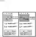 Fig. 06 - GENETIC SELECTION MARKERS BASED ON ENZYMATIC ACTIVITIES OF THE PYRIMIDINE SALVAGE PATHWAY
