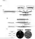 Fig. 12 - GENETIC SELECTION MARKERS BASED ON ENZYMATIC ACTIVITIES OF THE PYRIMIDINE SALVAGE PATHWAY
