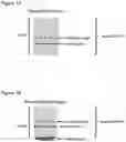 Fig. 02 - System for use in producing a metal ion suspension and process of using same