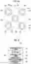 Fig. 17 - Anodizing method and manufacturing method for an anisotropic conductive member
