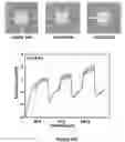 Fig. 09 - Chemically sensitive sensor comprising micro-barrier and method of fabrication thereof