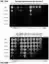 Fig. 46 - ULTRA-SENSITIVE, FAST, PLASMONIC-FLUOR ENHANCED ASSAY FOR SARS-COV-2 IMMUNE RESPONSE