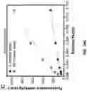 Fig. 49 - ULTRA-SENSITIVE, FAST, PLASMONIC-FLUOR ENHANCED ASSAY FOR SARS-COV-2 IMMUNE RESPONSE