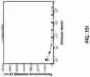 Fig. 63 - ULTRA-SENSITIVE, FAST, PLASMONIC-FLUOR ENHANCED ASSAY FOR SARS-COV-2 IMMUNE RESPONSE
