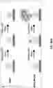 Fig. 64 - ULTRA-SENSITIVE, FAST, PLASMONIC-FLUOR ENHANCED ASSAY FOR SARS-COV-2 IMMUNE RESPONSE