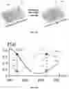 Fig. 06 - Holographic optical element and method of forming thereof