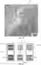 Fig. 08 - Holographic optical element and method of forming thereof
