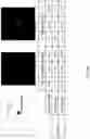 Fig. 22 - Holographic optical element and method of forming thereof