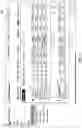 Fig. 07 - Digital processing systems and methods for dynamic customized user experience that changes over time in collaborative work systems