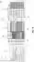 Fig. 19 - Digital processing systems and methods for dynamic customized user experience that changes over time in collaborative work systems