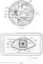 Fig. 04 - Method for standardized ophthalmic fundus imaging for the longitudinal monitoring of patients with eye diseases