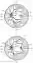 Fig. 06 - Method for standardized ophthalmic fundus imaging for the longitudinal monitoring of patients with eye diseases
