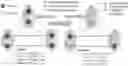 Fig. 01 - Device and method for alignment of multi-modal clinical images using joint synthesis, segmentation, and registration