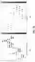 Fig. 07 - Integer-based graphical representations of words and texts