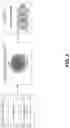 Fig. 03 - Glitch detection system