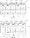 Fig. 08 - Gaming machine and method with persistence feature