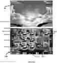 Fig. 23 - Method of gaming, a gaming system and a game controller