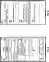Fig. 45 - Methods and systems for securely communicating over networks, in real time, and utilizing biometric data