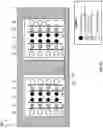 Fig. 04 - Shielded electrical transformer