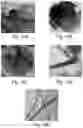 Fig. 09 - TRANSITION METAL CHALCOGENIDE FOR PREPARING METAL NANOSTRUCTURES, METAL NANOSTRUCTURES OBTAINED THEREBY, ELECTRONIC INSTRUMENT INCLUDING THE SAME, AND METHOD FOR MANUFACTURING THE SAME