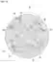 Fig. 06 - Negative electrode active material, negative electrode including the same, and lithium secondary battery
