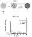 Fig. 02 - Metal-doped cathode active material for sodium secondary battery, method for manufacturing the same, and sodium secondary battery comprising the same