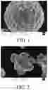 Fig. 02 - Cathode material, and electrochemical device including the same