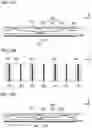 Fig. 15 - Fuel cell stack