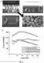 Fig. 04 - Scalable silicon anodes and the role of parylene films in improving electrode performance characteristics in energy storage systems