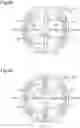 Fig. 22 - Motor