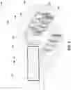 Fig. 02 - INTELLIGENT CONTROL AND DISTRIBUTION OF A LIQUID IN A DATA CENTER