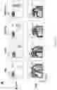 Fig. 02 - Genetically modified non-human animals and methods of use thereof