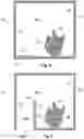 Fig. 05 - Systems and methods for recording neural activity