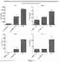 Fig. 02 - Immunomodulatory compositions and methods of use thereof
