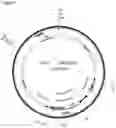 Fig. 02 - NUCLEIC ACID MOLECULES CONTAINING SPACERS AND METHODS OF USE THEREOF