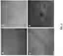 Fig. 02 - COMPOSITIONS AND METHODS FOR DETECTION OF TRAUMATIC BRAIN INJURY
