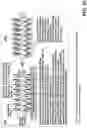 Fig. 27 - Neuro-stimulation and Sensor Devices Comprising Low-Impedance Electrodes, and Methods, Systems And Uses Thereof