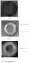 Fig. 02 - POLYMER LAYERED HOLLOW FIBER MEMBRANE BASED ON POLY(2,5-BENZIMIDAZOLE), COPOLYMERS AND SUBSTITUTED POLYBENZIMIDAZOLE