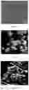 Fig. 02 - Preparation method of metal powder material