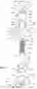 Fig. 02 - Self-drilling expandable anchor installation tool and methods of use thereof