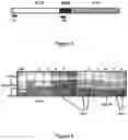 Fig. 02 - TGF-  RECEPTOR II ISOFORM, FUSION PEPTIDE, METHODS OF TREATMENT AND METHODS IN VITRO